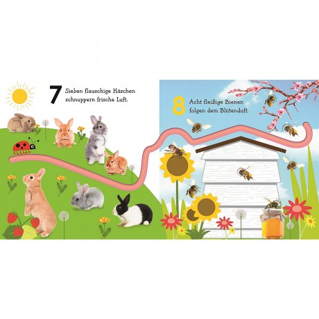 Dorling Kindersley Verlag Mein buntes Fingerspuren-Buch: Lerne zahlen mit Maxi Моя красочная книга отпечатков пальцев: учитесь платить с Maxi