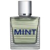 Toni Gard Spray Eau de Toilette (EdT) Туалетная вода Mint Man, 30 мл