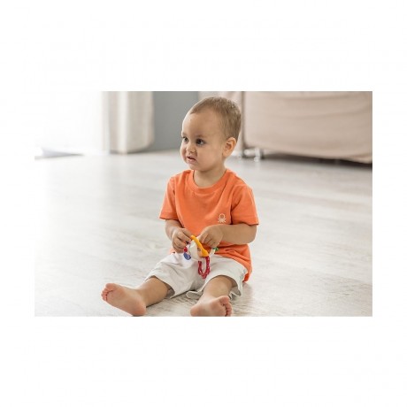 TOLO Mausrassel мышь погремушка