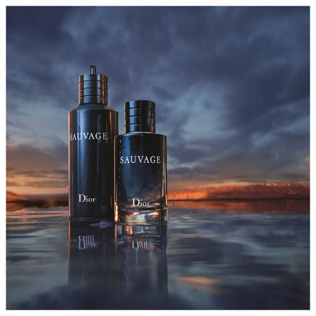 DIOR Refill  пополнение