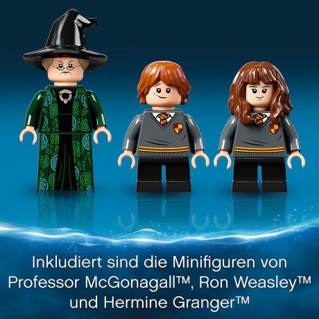 LEGO Harry Potter 76382 Hogwarts Moment: Verwandlungsunterricht ЛЕГО Учёба в Хогвартсе: Урок трансфигурации