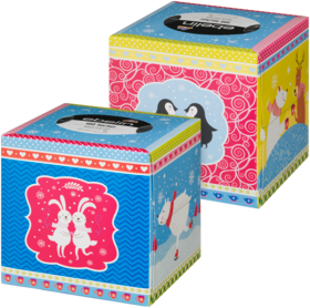 ebelin Салфетки для лица Box "Süsse Eiszeit", 100 шт