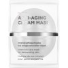 ANNEMARIE BORLIND (Анна-Мария Борлинд) Beauty Mask Маска для лица Anti-Aging Cream Крем Mask Маска для лица , 50 мл