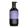 Theorie Purple Sage Brightening Conditioner Осветляющий кондиционер с фиолетовым шалфеем