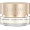 Jeanne Piaubert  (Жан Пьюбер) Skin Rejuvenate Nourishing Nourishing Day Cream Normal to Dry, Дневной крем для лица, 50 мл