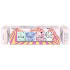 Invisibobble (Инвизибобл) Circus 4er Haargummi Grosse Haargummis, 1 шт.