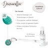 FACES OF FEY Microneedlingset Basic Niacinamid 0,25mm  Набор для микронидлинга Basic Niacinamide 0,25 мм