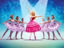 Universal DVD Barbie in die verzauberten Ballettschuhe DVD Барби в заколдованных балетках