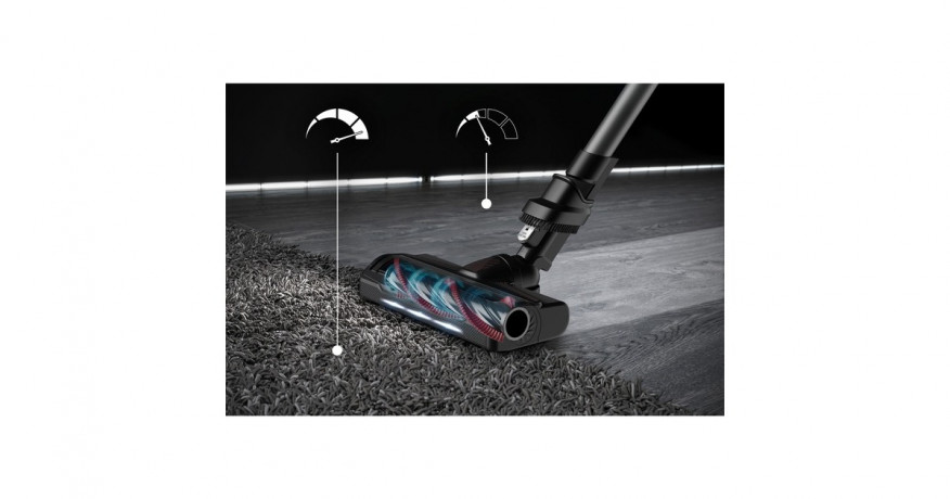 Rowenta Rowenta X-Force Flex 9.60 Animal RH2078, Stielstaubsauger schwarz/rot  schwarz/rot Rowenta X-Force Flex 9.60 Animal RH2078, пылесос черный/красный