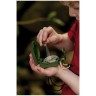 Scout SCOUT Taschenkompass СКАУТ карманный компас