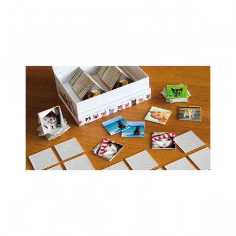 Remember Gedachtnisspiel  44 Cats in der Magnetbox