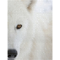 CALVENDO Puzzle CALVENDO Puzzle Emotionale Momente: Der Wolf. Пазл CALVENDO Пазл Эмоциональные моменты: Волк.