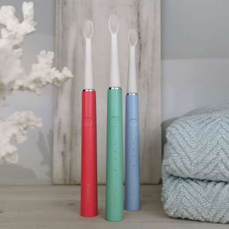 Ailoria PRO SMILE USB-Schallzahnburste Звуковая зубная щетка PRO SMILE USB