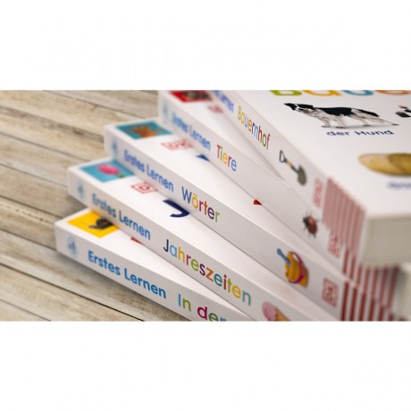 Dorling Kindersley Verlag Erstes Lernen. Tierkinder первое обучение. дети животных