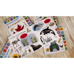 Dorling Kindersley Verlag Erstes Lernen. Tierkinder первое обучение. дети животных