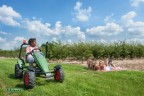 BERG Elektrisch Go-Kart mit XXL-Rahmen Fendt Grun ab 6 Jahren Электрический картинг с рамой XXL Fendt Green от 6 лет