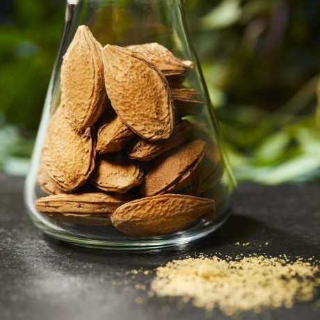 NUXE Reinigende Mikro-Peeling Maske Очищающая маска с микропилингом