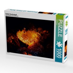 CALVENDO Puzzle CALVENDO Puzzle Grosser Drachenkopf Пазл CALVENDO Puzzle Большая голова дракона