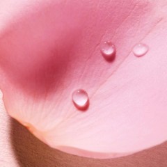 NUXE Very Rose Feuchtigkeitsspendendes 3-in-1 Mizellen-Reinigungswasser  Very Rose Увлажняющая мицеллярная очищающая вода 3-в-1