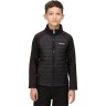 Regatta Outdoorjacke HYDRATE VI fur Jungen Уличная куртка HYDRATE VI для мальчиков