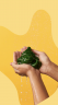 LUSH Festive Fresh Geschenk Подарочный набор "Праздничный", 5 ароматных сюрпризов