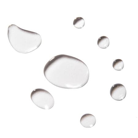 ERBORIAN Eau Ginseng  женьшень