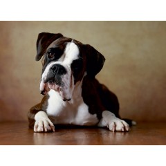 CALVENDO Puzzle CALVENDO Puzzle Hinaira Пазл CALVENDO Пазл Хинаира