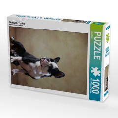 CALVENDO Puzzle CALVENDO Puzzle Shahrukh Пазл CALVENDO Пазл Шахрукх