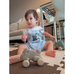 PLANTOYS Active Play Hase auf Radern grau Schiebespielzeug Кролик на колесах Active Play серая игрушка-толкатель