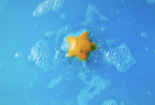 LUSH Christmas Bathtime Favourites Geschenk Подарочный набор "Праздничные бестселлеры для купания"
