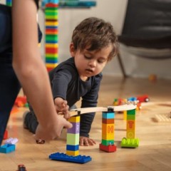TOY2 Baumeister Paket Gross Пакет конструктора большой
