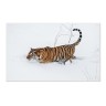 CALVENDO Puzzle CALVENDO Puzzle Emotionale Momente: Tiger Пазл CALVENDO Puzzle Эмоциональные моменты: тигр