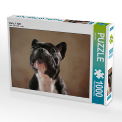 CALVENDO Puzzle CALVENDO Puzzle Carlo Пазл CALVENDO Пазл Carlo