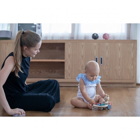 PLANTOYS Push+Pull Nachziehbar Nachziehspielzeug Толкай+тяни